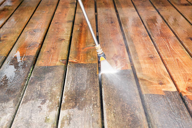 Best Roof Washing  in Fredericktown, MO
